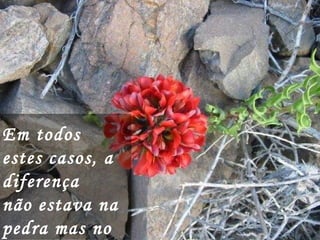 Em todos
estes casos, a
diferença
não estava na
pedra mas no
 