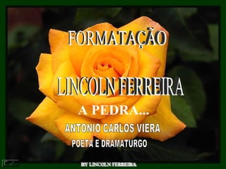 BY LINCOLN FERREIRA  FORMATAÇÃO LINCOLN FERREIRA  A PEDRA...   ANTONIO CARLOS VIERA  POETA E DRAMATURGO 