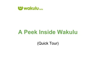 A Peek Inside Wakulu (Quick Tour) 