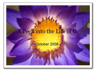 A Peek into the Life of G October 2008 