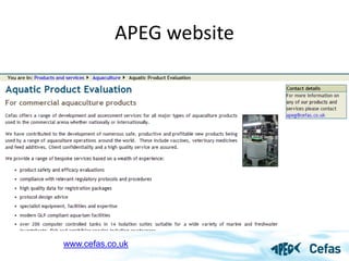 Overview of APEG services and products | PDF