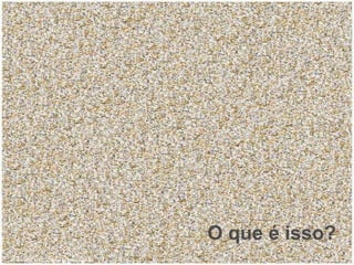 O que é isso? www.sitecuriosidades.com.br 