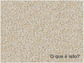 O que é isto? 