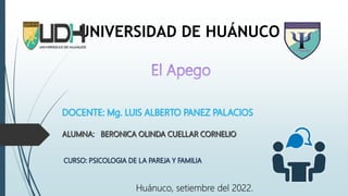 UNIVERSIDAD DE HUÁNUCO
Huánuco, setiembre del 2022.
 