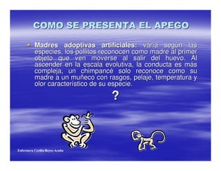Madres adoptivas artificiales: varía según las
          especies, los pollitos reconocen como madre al primer
          objeto que ven moverse al salir del huevo. Al
          ascender en la escala evolutiva, la conducta es más
          compleja, un chimpancé solo reconoce como su
          madre a un muñeco con rasgos, pelaje, temperatura y
          olor característico de su especie.

                                   ?



Enfermera Cecilia Reyes Acuña
 
