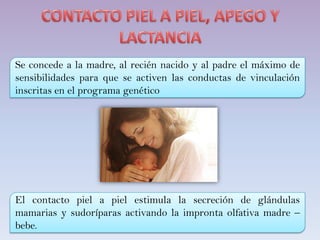 Se concede a la madre, al recién nacido y al padre el máximo de
sensibilidades para que se activen las conductas de vinculación
inscritas en el programa genético
El contacto piel a piel estimula la secreción de glándulas
mamarias y sudoríparas activando la impronta olfativa madre –
bebe.
 