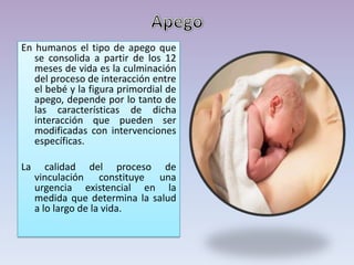 En humanos el tipo de apego que
se consolida a partir de los 12
meses de vida es la culminación
del proceso de interacción entre
el bebé y la figura primordial de
apego, depende por lo tanto de
las características de dicha
interacción que pueden ser
modificadas con intervenciones
específicas.
La calidad del proceso de
vinculación constituye una
urgencia existencial en la
medida que determina la salud
a lo largo de la vida.
 