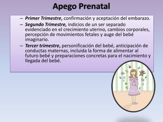 Apego Prenatal
– Primer Trimestre, confirmación y aceptación del embarazo.
– Segundo Trimestre, indicios de un ser separado
evidenciado en el crecimiento uterino, cambios corporales,
percepción de movimientos fetales y auge del bebé
imaginario.
– Tercer trimestre, personificación del bebé, anticipación de
conductas maternas, incluida la forma de alimentar al
futuro bebé y preparaciones concretas para el nacimiento y
llegada del bebé.
 