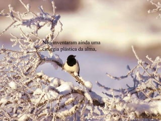 Não inventaram ainda uma cirurgia plástica da alma, 