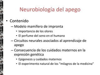 Neurobiología del apego Contenido Modelo mamífero de impronta Importancia de los olores El perfume del seno en el humano Circuitos neurales asociados al aprendizaje de apego Consecuencia de los cuidados maternos en la expresión genética Epigenesis y cuidados maternos El experimento natural de los “milagros de la medicina” 