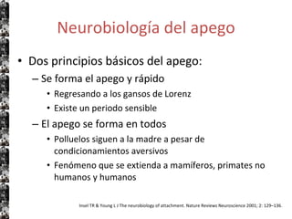 Neurobiología del apego Dos principios básicos del apego: Se forma el apego y rápido Regresando a los gansos de Lorenz Existe un periodo sensible El apego se forma en todos Polluelos siguen a la madre a pesar de condicionamientos aversivos Fenómeno que se extienda a mamíferos, primates no humanos y humanos Insel TR & Young L J The neurobiology of  attachment. Nature Reviews Neuroscience 2001; 2: 129–136. 