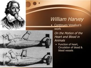 William Harvey Continues Vesalius’s work On the Motion of the Heart and Blood in Animals Function of heart, Circulation of blood & blood vessels 
