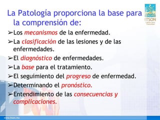 La Patología proporciona la base para
la comprensión de:
➢Los mecanismos de la enfermedad.
➢La clasificación de las lesiones y de las
enfermedades.
➢El diagnóstico de enfermedades.
➢La base para el tratamiento.
➢El seguimiento del progreso de enfermedad.
➢Determinando el pronóstico.
➢Entendimiento de las consecuencias y
complicaciones.
 
