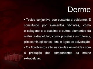 Derme
• Tecido conjuntivo que sustenta a epiderme. É
constituído por elementos fibrilares, como
o colágeno e a elastina e outros elementos da
matriz extracelular, como proteínas estruturais,
glicosaminoglicanos, íons e água de solvatação.
• Os fibroblastos são as células envolvidas com
a produção dos componentes da matriz
extracelular.
 