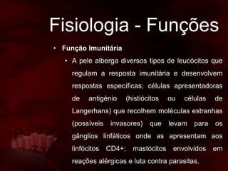 Fisiologia - Funções
• Função Imunitária
• A pele alberga diversos tipos de leucócitos que
regulam a resposta imunitária e desenvolvem
respostas específicas; células apresentadoras
de antigénio (histiócitos ou células de
Langerhans) que recolhem moléculas estranhas
(possíveis invasores) que levam para os
gânglios linfáticos onde as apresentam aos
linfócitos CD4+; mastócitos envolvidos em
reações alérgicas e luta contra parasitas.
 