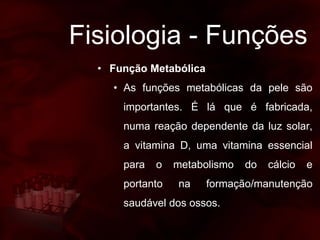 Fisiologia - Funções
• Função Metabólica
• As funções metabólicas da pele são
importantes. É lá que é fabricada,
numa reação dependente da luz solar,
a vitamina D, uma vitamina essencial
para o metabolismo do cálcio e
portanto na formação/manutenção
saudável dos ossos.
 