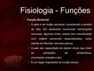 Fisiologia - Funções
• Função Sensorial
• A pele é um órgão sensorial, constituindo o sentido
do tato. Ela apresenta numerosas terminações
nervosas, algumas livres, outras com comunicação
com órgãos sensoriais especializados, como
células de Merckel, folículos pilosos.
• A pele tem capacidade de detetar sinais que criam
as perceções da temperatura,
movimento, pressão e dor.
• É um órgão importante na função sexual.
 
