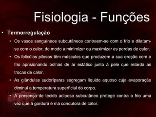 Fisiologia - Funções
• Termorregulação
• Os vasos sanguíneos subcutâneos contraem-se com o frio e dilatam-
se com o calor, de modo a minimizar ou maximizar as perdas de calor.
• Os folicúlos pilosos têm músculos que produzem a sua ereção com o
frio aprisionando bolhas de ar estático junto à pele que retarda as
trocas de calor.
• As glândulas sudoríparas segregam líquido aquoso cuja evaporação
diminui a temperatura superficial do corpo.
• A presença de tecido adiposo subcutâneo protege contra o frio uma
vez que a gordura é má condutora de calor.
 