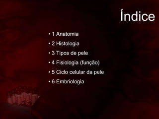 Índice
• 1 Anatomia
• 2 Histologia
• 3 Tipos de pele
• 4 Fisiologia (função)
• 5 Ciclo celular da pele
• 6 Embriologia
 