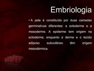 Embriologia
• A pele é constituída por duas camadas
germinativas diferentes: a ectoderme e a
mesoderme. A epiderme tem origem na
ectoderme, enquanto a derme e o tecido
adiposo subcutâneo têm origem
mesodérmica.
 