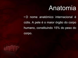 Anatomia
• O nome anatómico internacional é
cútis. A pele é o maior órgão do corpo
humano, constituindo 15% do peso do
corpo.
 