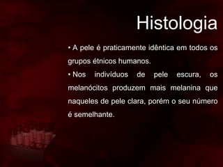Histologia
• A pele é praticamente idêntica em todos os
grupos étnicos humanos.
• Nos indivíduos de pele escura, os
melanócitos produzem mais melanina que
naqueles de pele clara, porém o seu número
é semelhante.
 