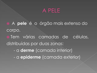    A pele é o órgão mais extenso do
corpo.
 Tem    várias camadas de        células,
distribuídas por duas zonas:
    - a derme (camada interior)
    - a epiderme (camada exterior)
 