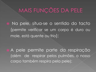     Na pele, situa-se o sentido do tacto
    (permite verificar se um corpo é duro ou
    mole, está quente ou frio);


A    pele permite parte da respiração
    (além de respirar pelos pulmões, o nosso
    corpo também respira pela pele);
 