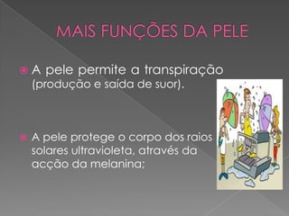 A    pele permite a transpiração
    (produção e saída de suor).



   A pele protege o corpo dos raios
    solares ultravioleta, através da
    acção da melanina;
 