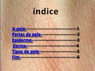 índice
A pele----------------------------------1
Partes da pele------------------------2
Epiderme------------------------------3
Derme---------------------------------4
Tipos de pele-------------------------5
Fim--------------------------------------6

 