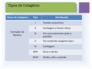 Tipos de Colagénio 