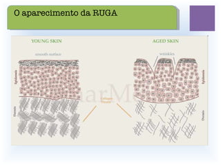 O aparecimento da RUGA 