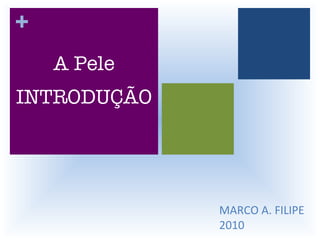 MARCO A. FILIPE 2010 A Pele INTRODUÇÃO + 
