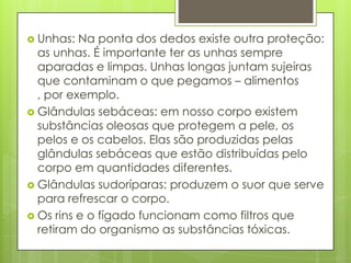  Unhas: Na ponta dos dedos existe outra proteção:
as unhas. É importante ter as unhas sempre
aparadas e limpas. Unhas longas juntam sujeiras
que contaminam o que pegamos – alimentos
, por exemplo.
 Glândulas sebáceas: em nosso corpo existem
substâncias oleosas que protegem a pele, os
pelos e os cabelos. Elas são produzidas pelas
glândulas sebáceas que estão distribuídas pelo
corpo em quantidades diferentes.
 Glândulas sudoríparas: produzem o suor que serve
para refrescar o corpo.
 Os rins e o fígado funcionam como filtros que
retiram do organismo as substâncias tóxicas.
 