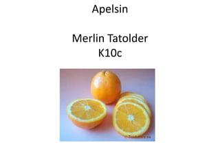 ApelsinMerlinTatolderK10c 