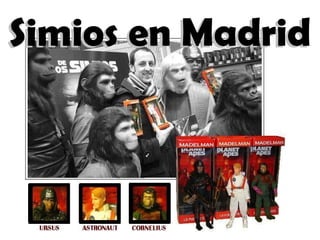 Simios en Madrid Simios en Madrid 