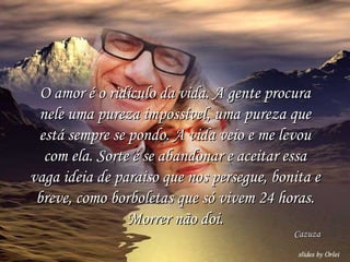 O amor é o ridículo da vida. A gente procura nele uma pureza impossível, uma pureza que está sempre se pondo. A vida veio e me levou com ela. Sorte é se abandonar e aceitar essa vaga ideia de paraiso que nos persegue, bonita e breve, como borboletas que só vivem 24 horas. Morrer não doi. Cazuza 