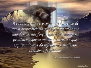 A cada dia que vivo, mais me convenço de que o desperdício da vida está no amor que não damos, nas forças que não usamos, na prudência egoísta que nada arrisca e que, esquivando-nos do sofrimento, perdemos também a felicidade. Carlos Drummond de Andrade 