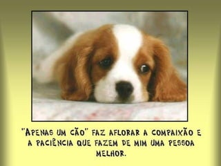 “ Seremos sempre responsáveis pelos nossos atos – nunca se esqueça” 