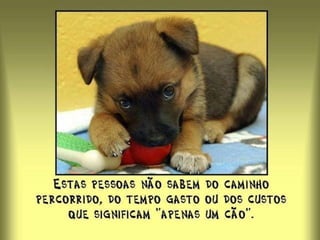 Um dia, meu professor me viu pedindo desculpas, depois de uma explosão de raiva, e entregou-me uma folha de papel lisa e me disse: 