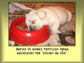 Óbvio que não pude deixá-la como antes.  Por mais que tentasse, o papel continuava cheio de pregas. O professor me disse, então: - O coração das pessoas é como esse papel.  A impressão que neles deixamos será tão difícil de apagar como esses amassados. 