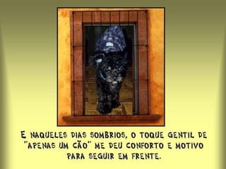 Assim, aprendi a ser mais compreensivo e mais paciente.  Quando sinto vontade de estourar, lembro daquele papel amassado. A impressão que deixamos nas pessoas é impossível de apagar. 