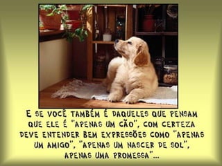 Quando magoamos alguém com nossas ações ou com nossas palavras, logo queremos consertar o erro, mas é tarde demais... Alguém já disse, certa vez: - Fale somente quando suas palavras possam ser tão suaves como o silêncio. 