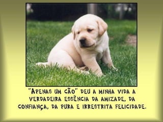 Mas não deixe de falar, por medo da reação do outro. Acredite, principalmente em seus sentimentos! 