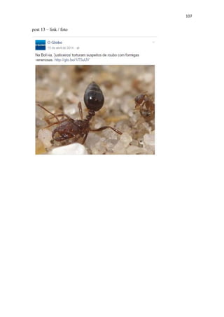 107
post 13 – link / foto
 