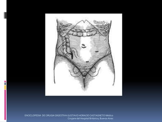 ENCICLOPEDIA DE CIRUGIA DIGESTIVA GUSTAVO HORACIO CASTAGNETO Médico
Cirujano del Hospital Británico, Buenos Aires
 