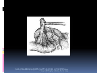 ENCICLOPEDIA DE CIRUGIA DIGESTIVA GUSTAVO HORACIO CASTAGNETO Médico
Cirujano del Hospital Británico, Buenos Aires
 