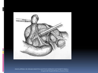 ENCICLOPEDIA DE CIRUGIA DIGESTIVA GUSTAVO HORACIO CASTAGNETO Médico
Cirujano del Hospital Británico, Buenos Aires
 
