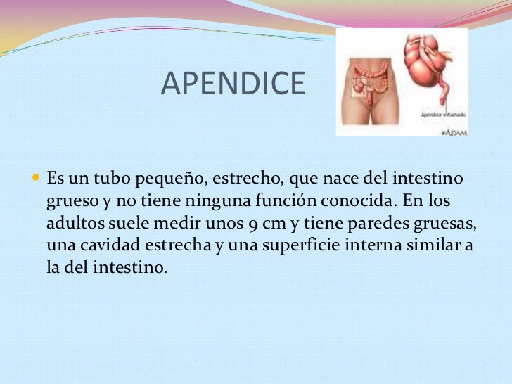 Apendicectomia