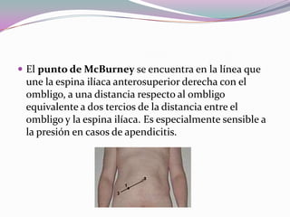  El punto de McBurney se encuentra en la línea que
une la espina ilíaca anterosuperior derecha con el
ombligo, a una distancia respecto al ombligo
equivalente a dos tercios de la distancia entre el
ombligo y la espina ilíaca. Es especialmente sensible a
la presión en casos de apendicitis.
 